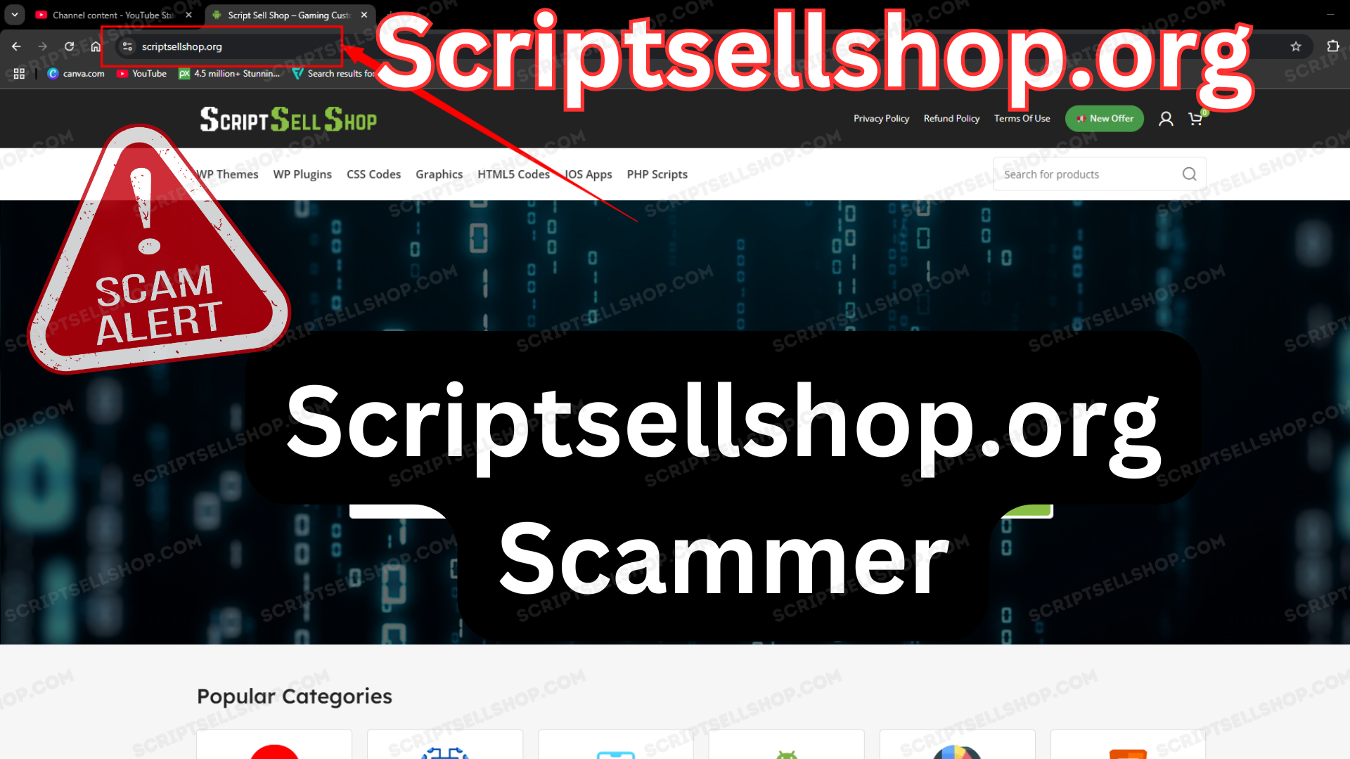 Scriptsellshop.org IS A BiG SCAMMER ,Don't Buy From Them ,Away From Scriptsellshop.org